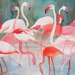© Elizabeth Burin, Flamingo Fancy