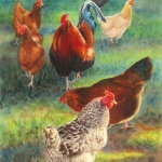 © Elizabeth Burin, Lucy's Flock