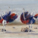 © Elizabeth Burin,  Ostrich Altercation