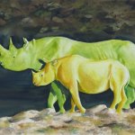 © Elizabeth Burin, Rhino Education