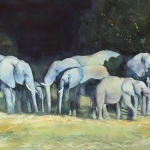 © Elizabeth Burin, The Elephants' Nightcap