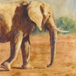 © Elizabeth Burin, The Old Bull