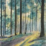 © Elizabeth Burin, Forest Path
