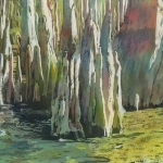 © Elizabeth Burin, Among the Mangroves