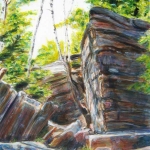 © Elizabeth Burin, Birches and Boulders