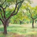 © Elizabeth Burin, Cork Grove I