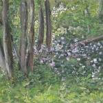 © Elizabeth Burin, Woods in Spring