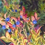 © Elizabeth Burin, Berries on the Ridge