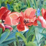 © Elizabeth Burin, Tulip Chorus Line