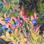 © Elizabeth Burin, Berries on the Ridge