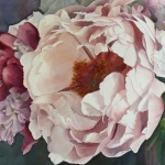 © Elizabeth Burin, Celebration Peony
