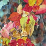 © Elizabeth Burin, Fall Cascade II
