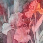 © Elizabeth Burin, Iris at Twilight