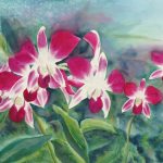 © Elizabeth Burin, Orchid Garden