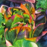 © Elizabeth Burin, Red Lettuce