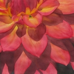 © Elizabeth Burin, Dahlia