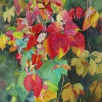 © Elizabeth Burin, Fall Cascade I