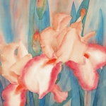 © Elizabeth Burin, Iris Morning