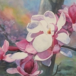 © Elizabeth Burin, Magnolia Spotlight